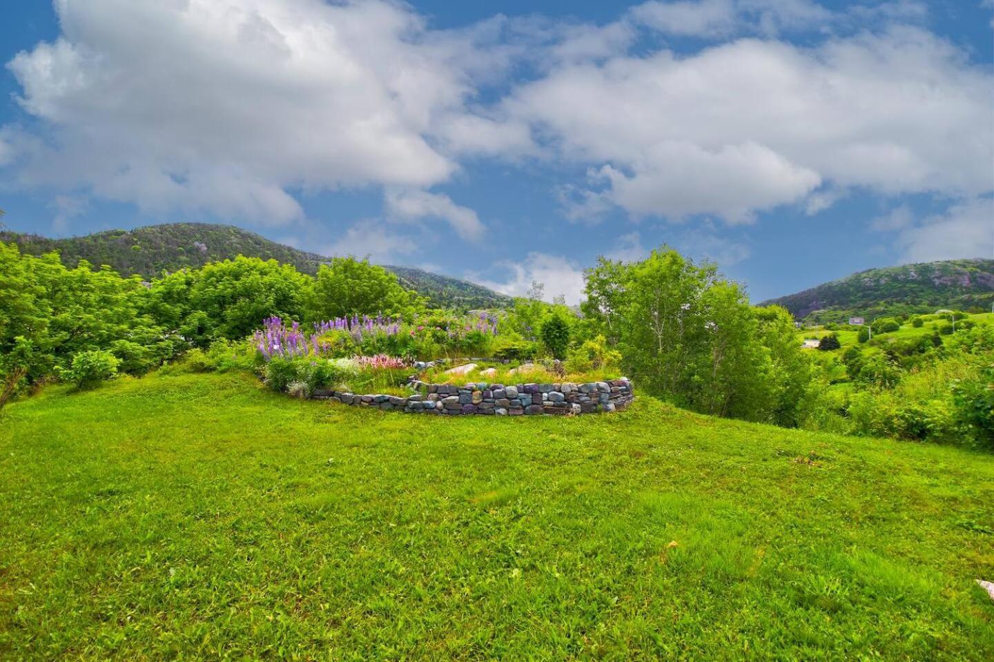 圣约翰斯The Vista At Quidi Vidi - Stunning Views & Trails别墅 外观 照片